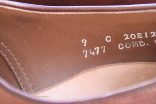 ドレス商品画像d504-8