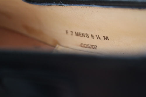 fbhXgbNi摜ds1891-011